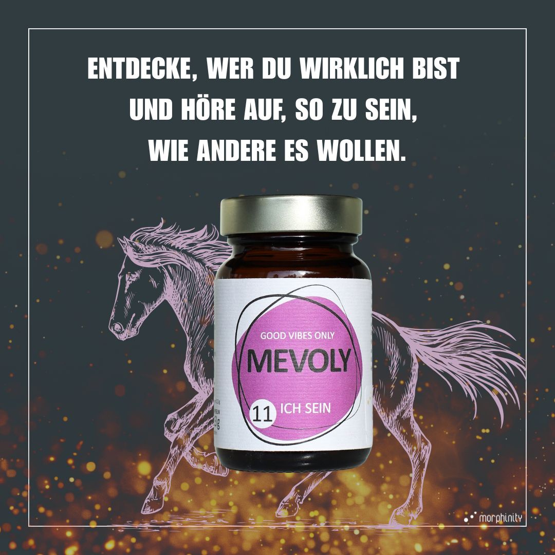 FEUERPFERD-BOX