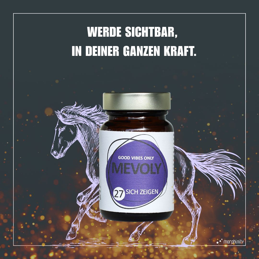 FEUERPFERD-BOX
