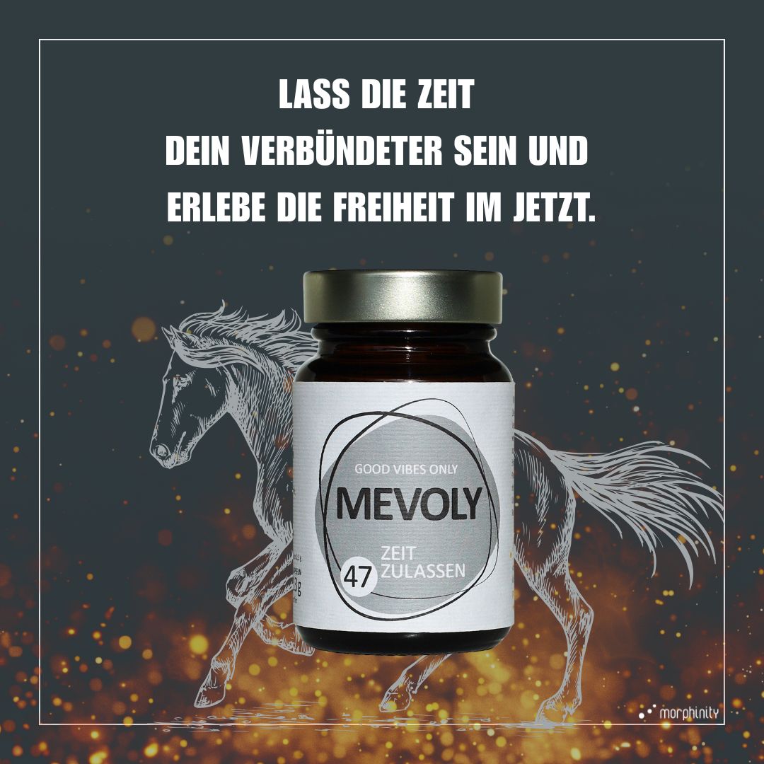 FEUERPFERD-BOX